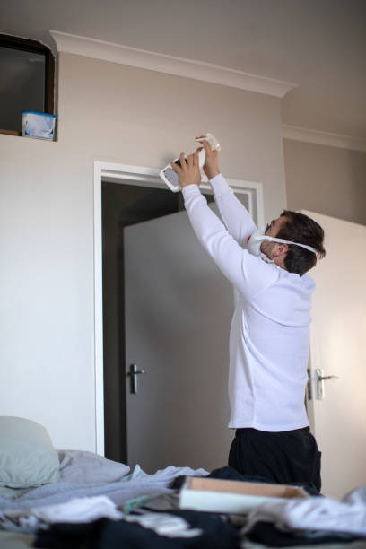 Reliable Waller, TX Mold Removal Solutions